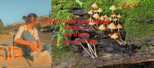 каннабис Алексеевка